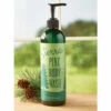 Best Sale ๐ Sierra Pine Body Wash ๐ 2 Best Sale ๐ Sierra Pine Body Wash ๐ -Personal Care Sales Store unnamed file 40